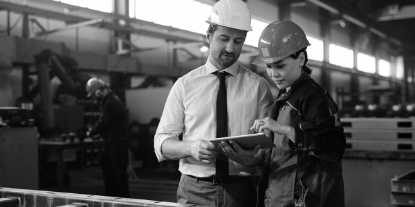 Contratos de Trabajo / Situaciones Irregulares en Alicante · Inspección Laboral / Seguridad Social